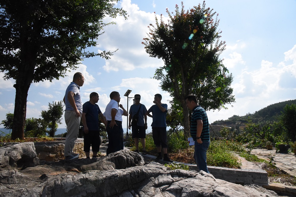 ���ݿ��Ρ��й����ٷ���վ